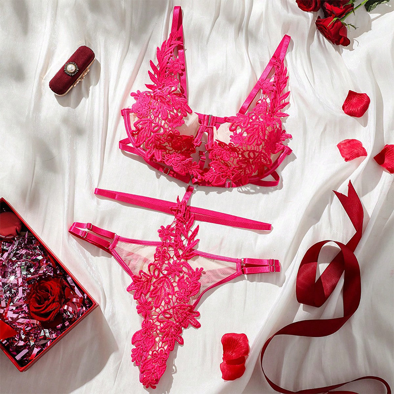 Sexy Lace Embroidery Lingerie Set for Women Temptation Bodysuit with Bra & Panty, Sultry Sheer Mesh Intimate Outfit