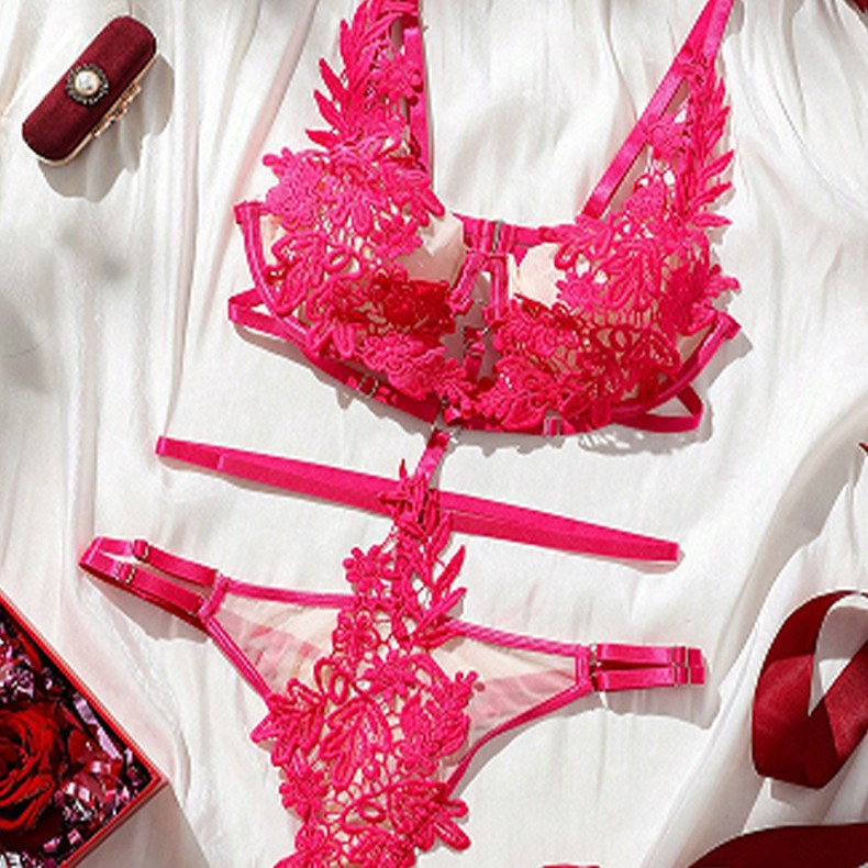 Sexy Lace Embroidery Lingerie Set for Women Temptation Bodysuit with Bra & Panty, Sultry Sheer Mesh Intimate Outfit