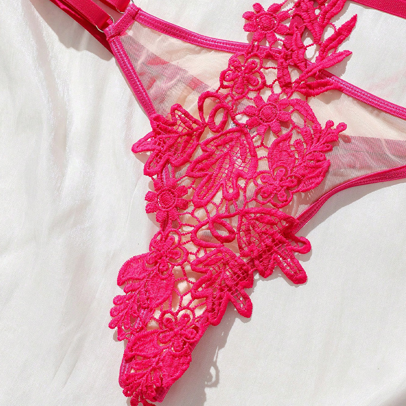 Sexy Lace Embroidery Lingerie Set for Women Temptation Bodysuit with Bra & Panty, Sultry Sheer Mesh Intimate Outfit