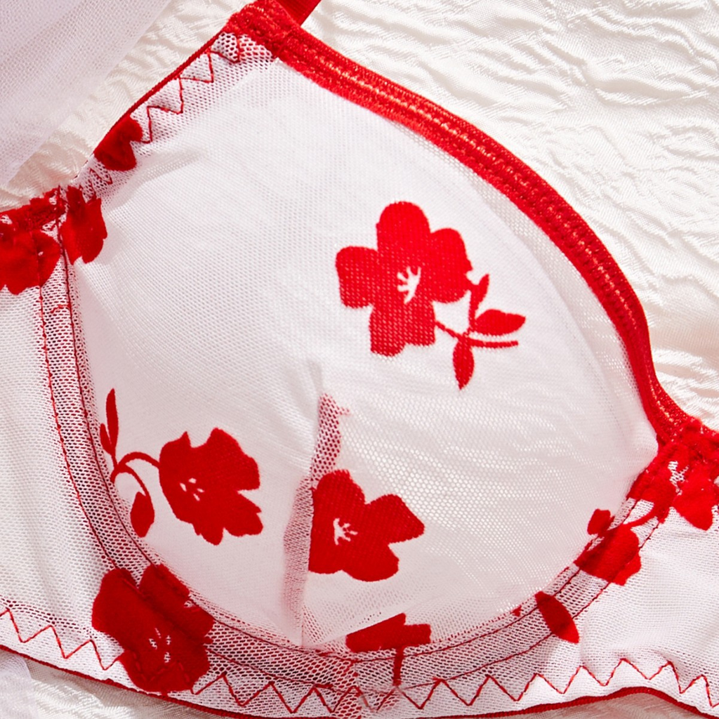 European and American sexy design underwear summer ultra-thin mesh printing big chest small pure sexy underwear set comfortable and breathable