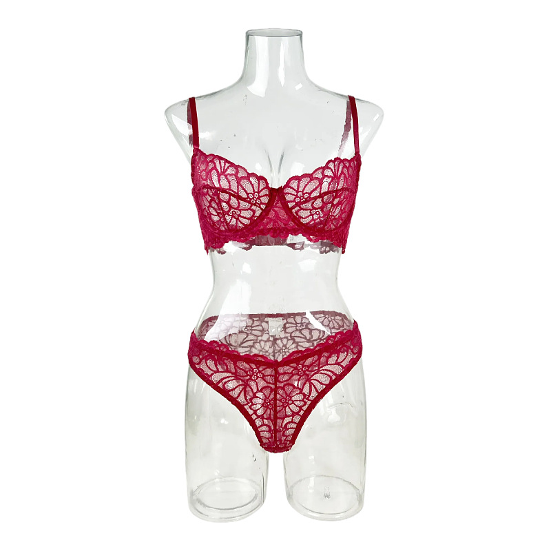 Sexy Sheer Lace Embroidered Lingerie Set with Underwire and Adjustable Straps Alluring European Style
